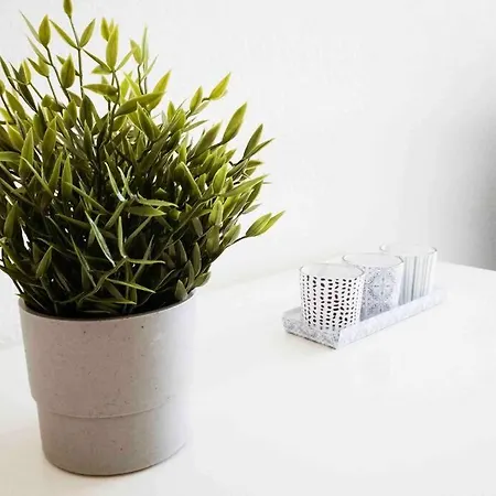 Moderne In Leipziger Altbau - Netflix Inklusive Appartamento Lipsia
